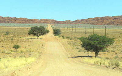 The road less travelled – thoughts of a field officer